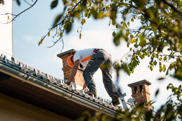 Best Gutter Installation and Roofing  in Chapman, KS
