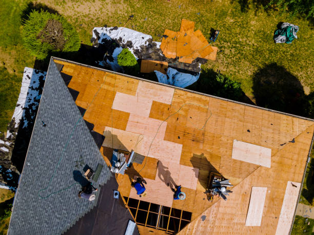 Best Roof Gutter Cleaning  in Chapman, KS