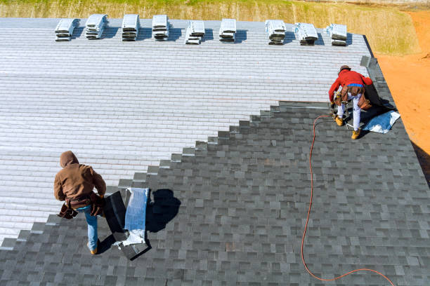 Best Flat Roof Repair Services  in Chapman, KS