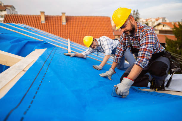 Roof Gutter Cleaning in Chapman, KS