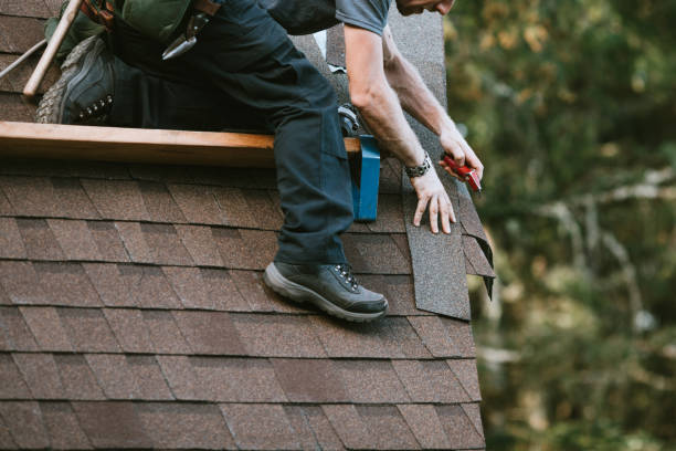 Best Metal Roofing Contractor  in Chapman, KS