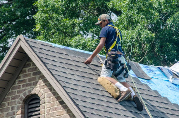 Best Roof Restoration Services  in Chapman, KS